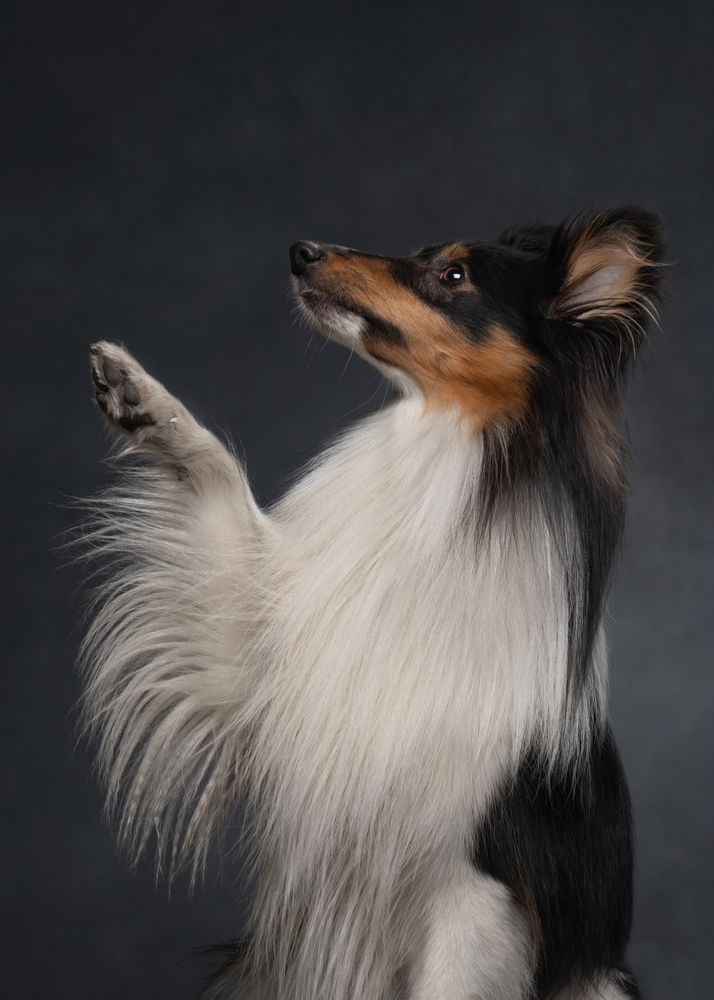 Фотография автора Валерия Капитонова