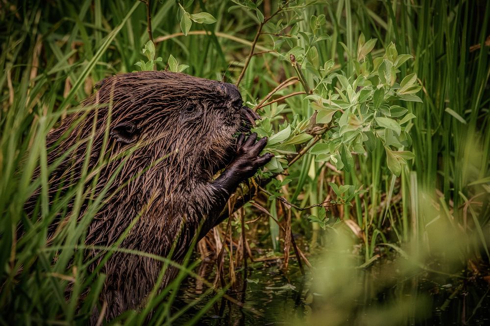 Photograph by Юлия Калугина