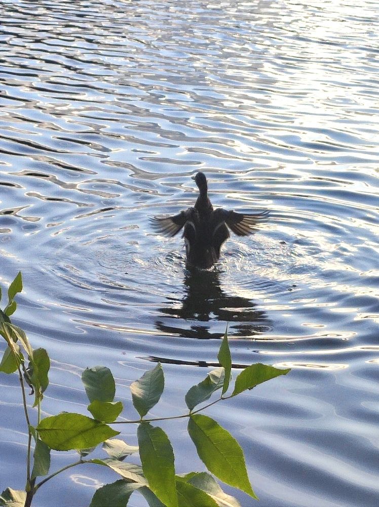 Photograph by Надежда