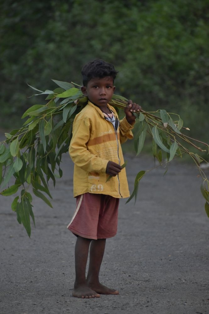 Photograph by MUSAKALIM KHAN