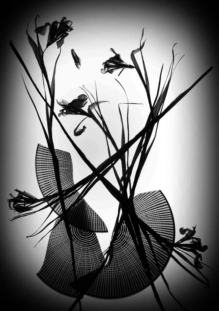 Photograph by Александр Зарх