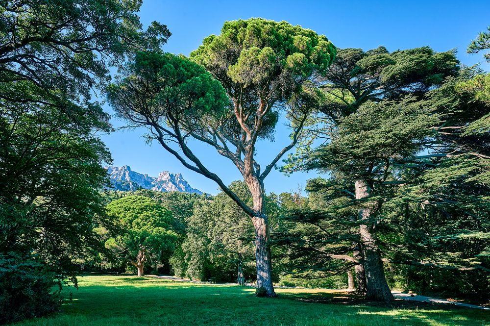 Photograph by Роман Зыков