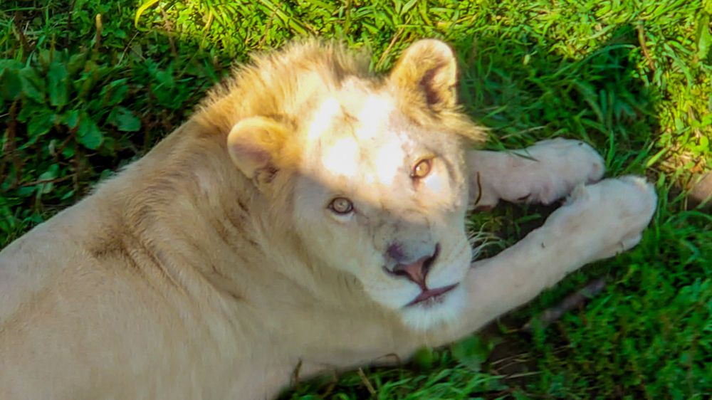 Фотография автора Elena Ku