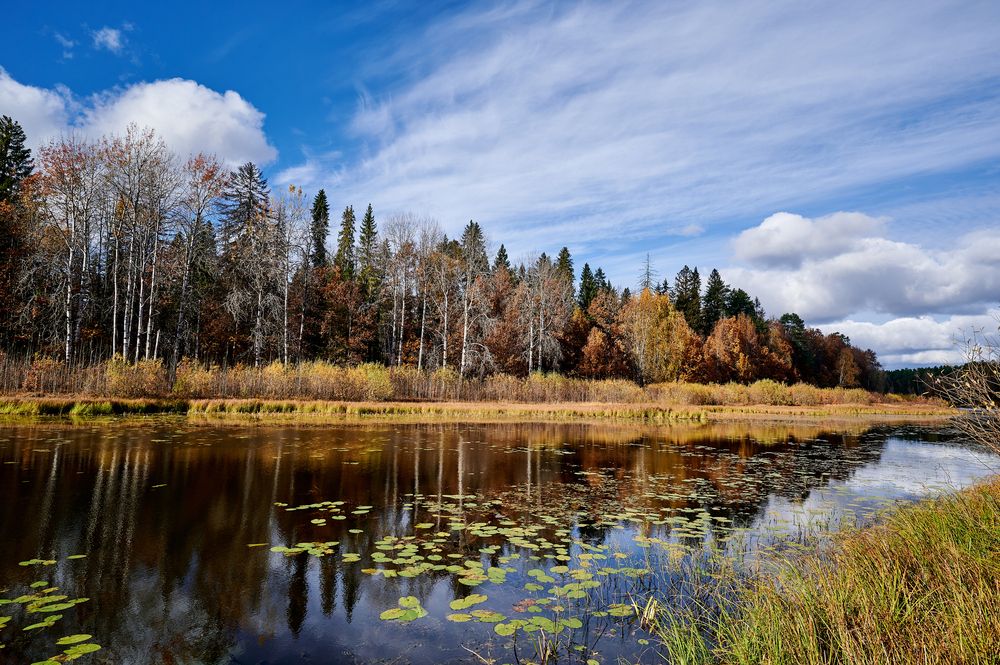 Photograph by Роман Зыков