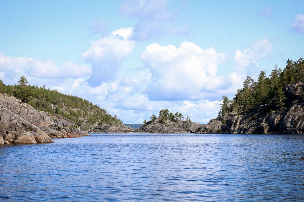 Photograph by Татьяна Миняйлова