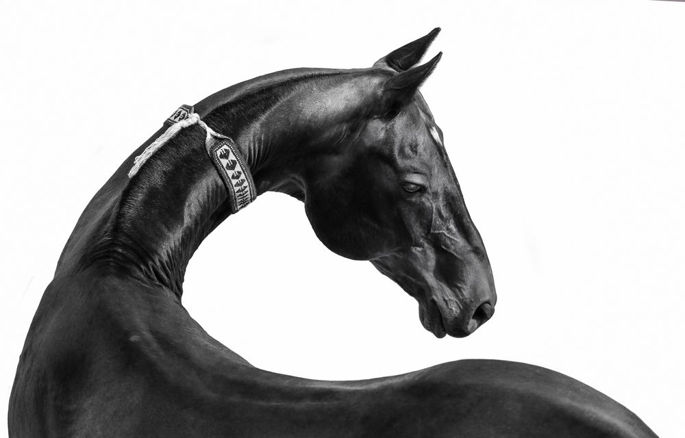 Photograph by Екатерина Михайлова