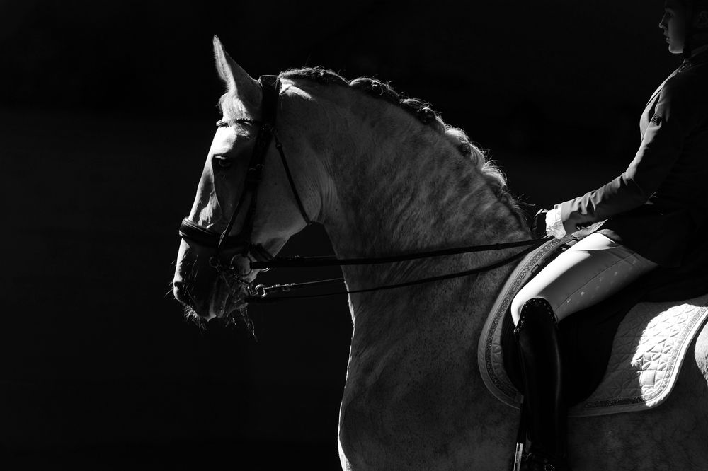 Photograph by Екатерина Михайлова