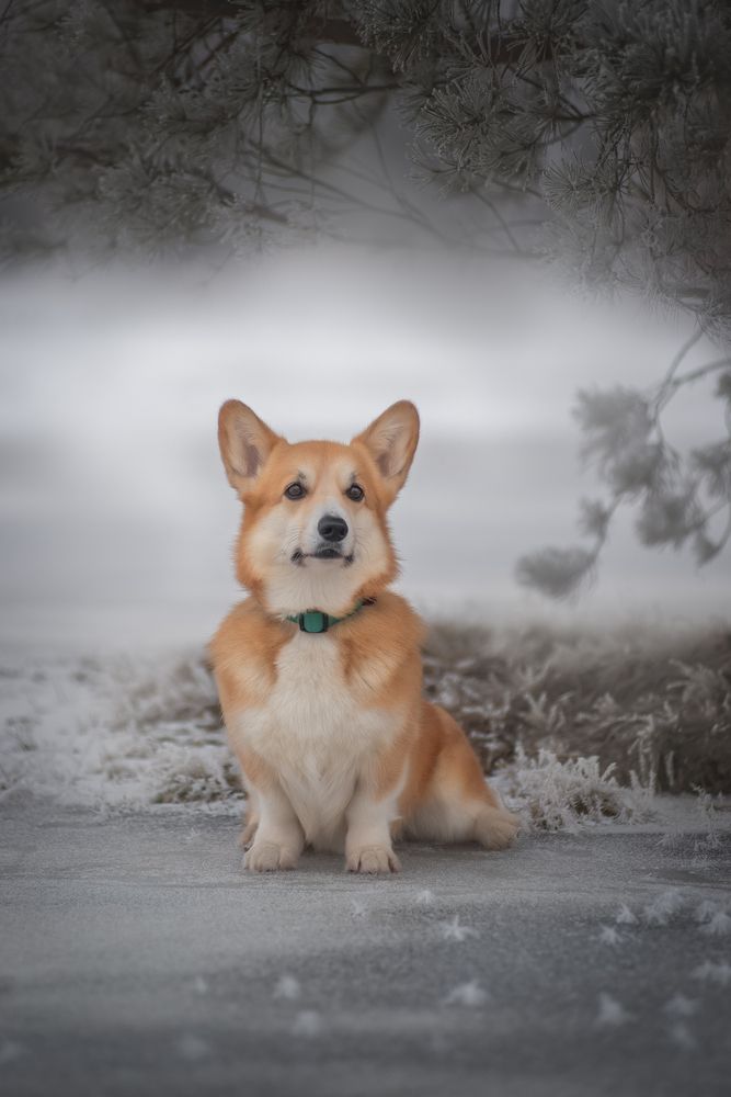 Photograph by Татьяна Рыбцева