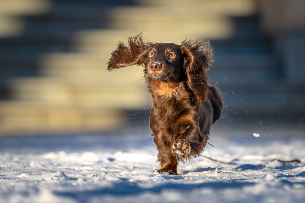 Фотография автора Дмитрий Дуров