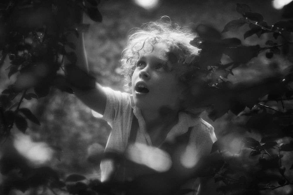 Photograph by Сергей Спирин