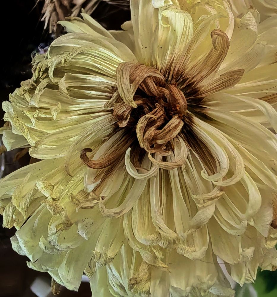 Photograph by Анна Матецкая