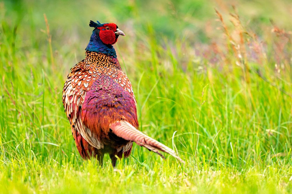 Фотография автора Яков Осканов