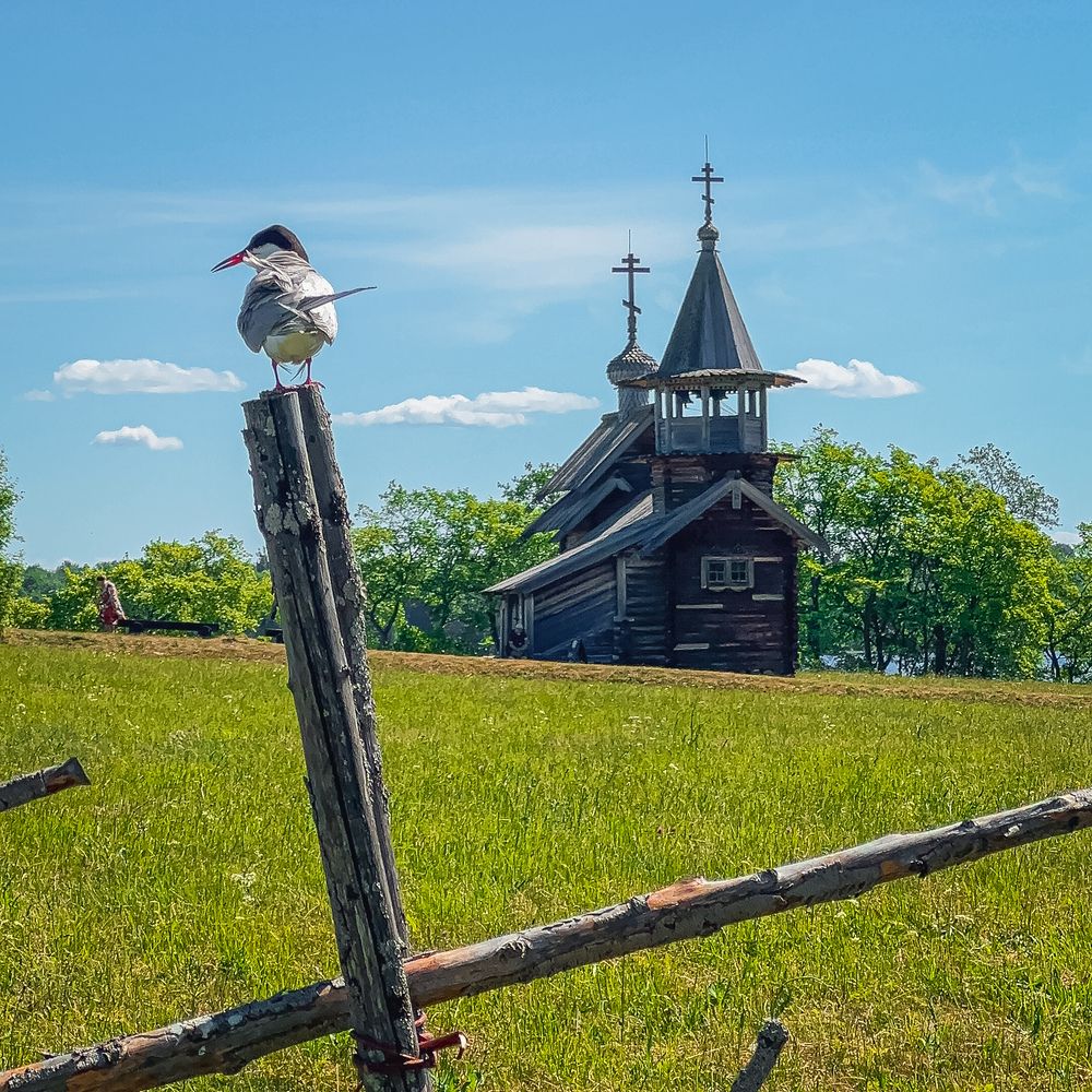 Фотография автора Храмов Роман