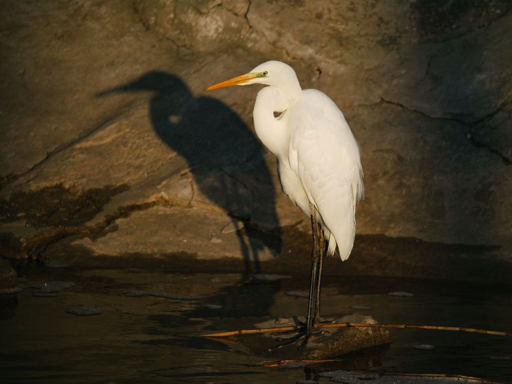 Photograph by Максим Будяк