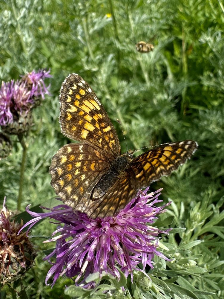 Photograph by Дмитрий Бобровский