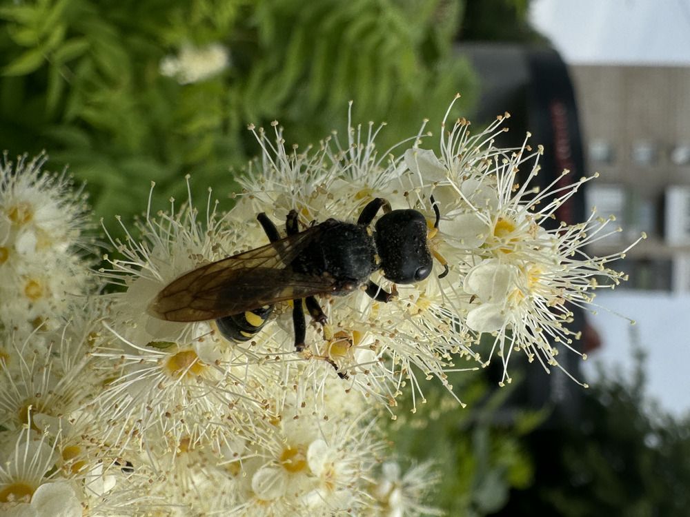 Photograph by Дмитрий Бобровский