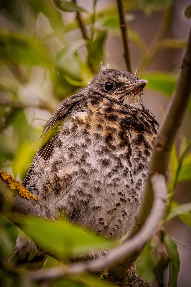 Photograph by Юлия Калугина