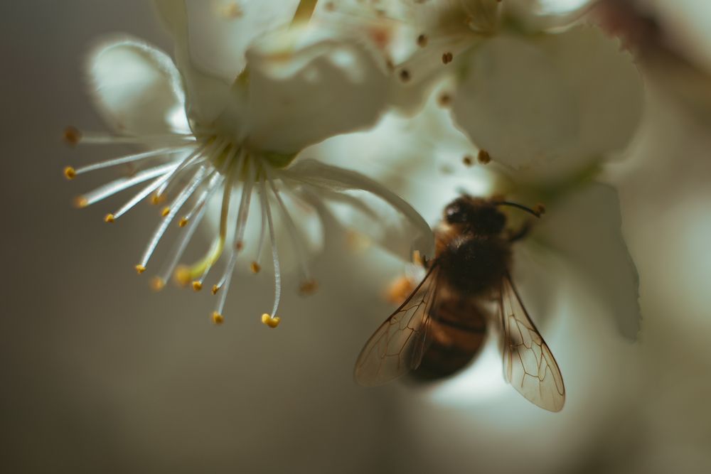 Фотография автора Войнов Дмитрий