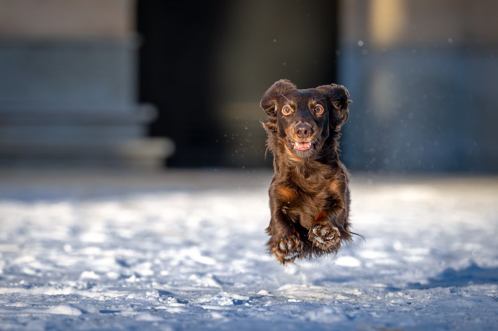 Фотография автора Дмитрий Дуров