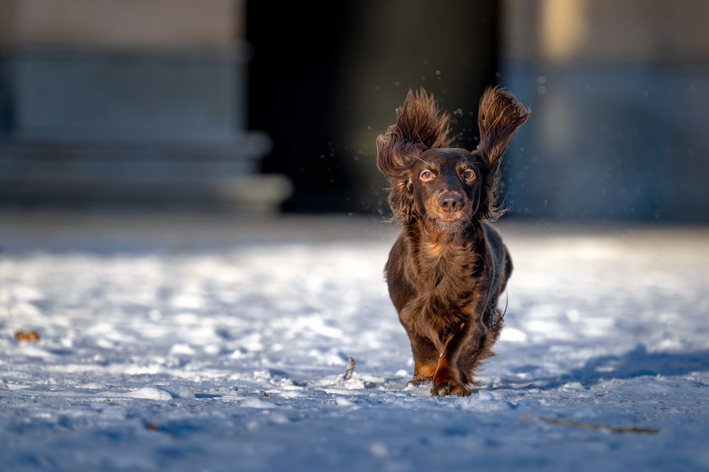 Фотография автора Дмитрий Дуров