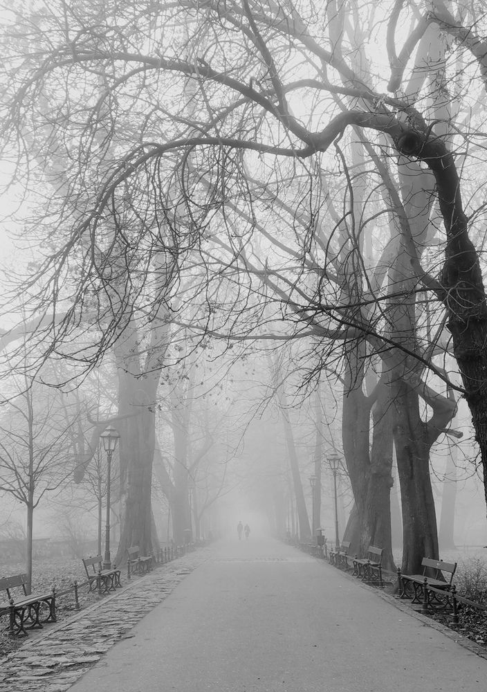 Photograph by Paulina Michałowska