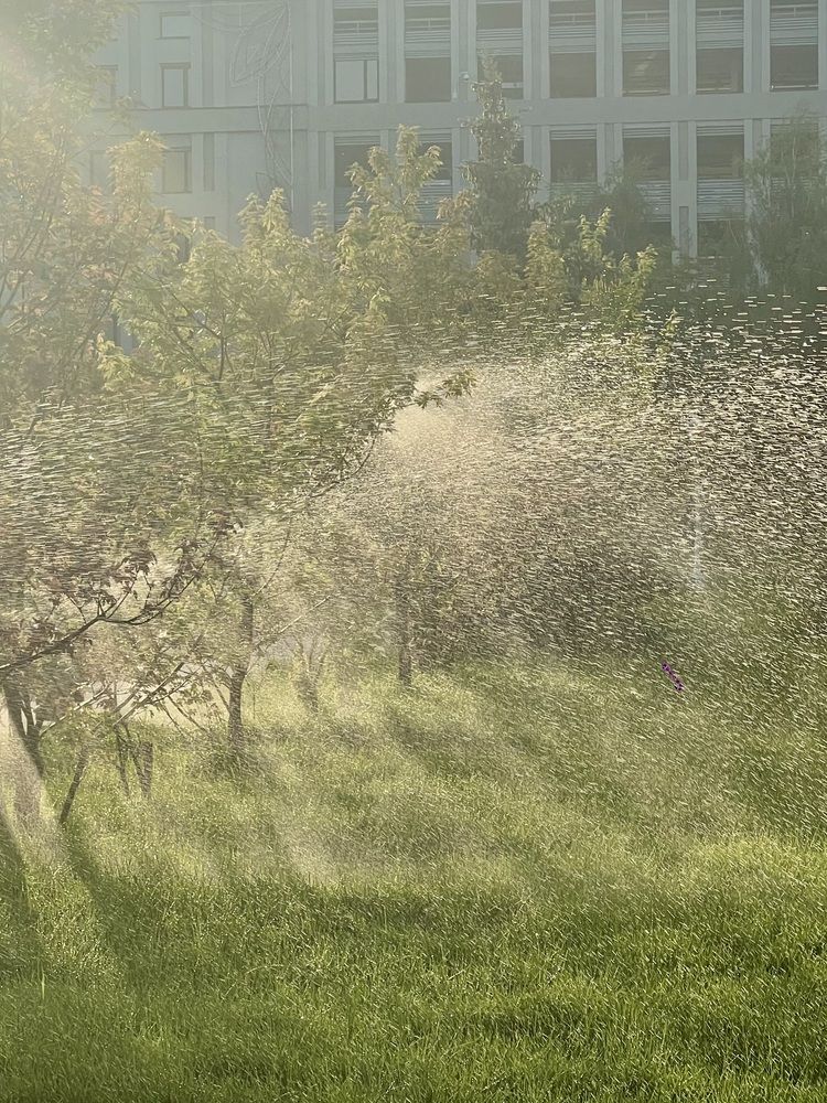 Photograph by Elvira