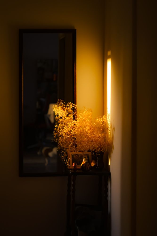 Photograph by Arkady Ostrovsky