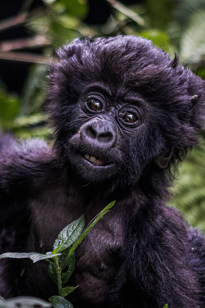 Photograph by Ольга Шайдулина