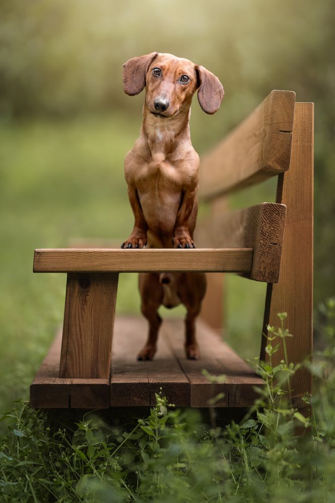 Photograph by Leticia Hernandez