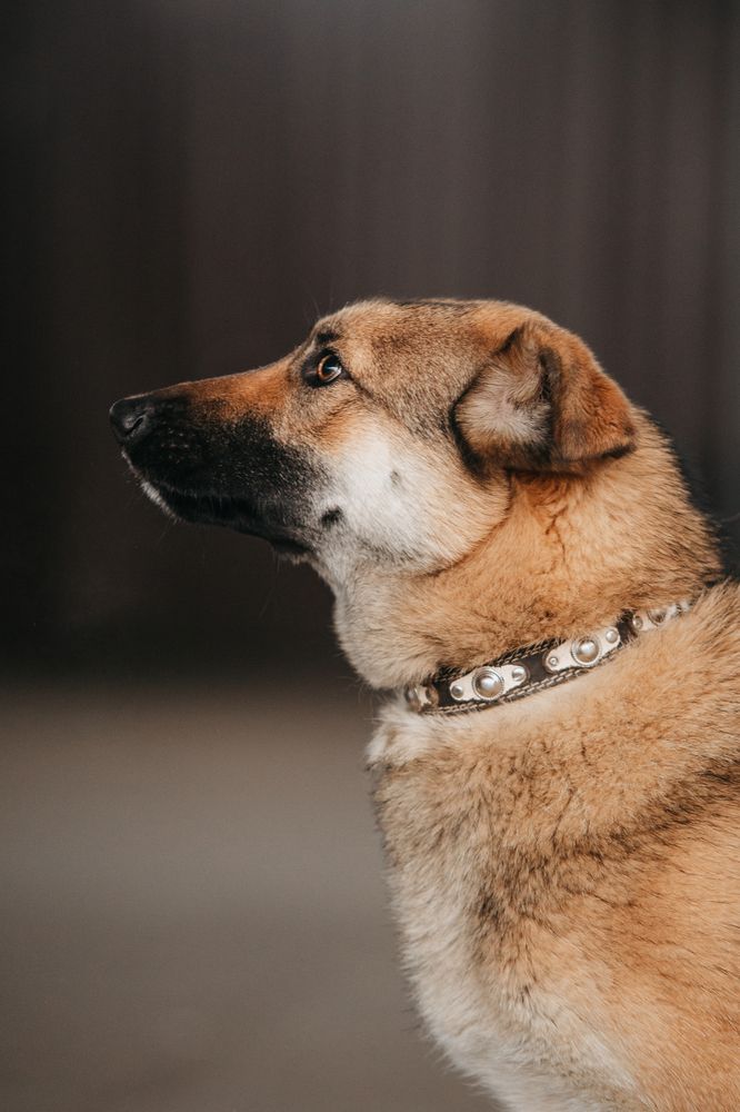 Photograph by Natasha Stugireva