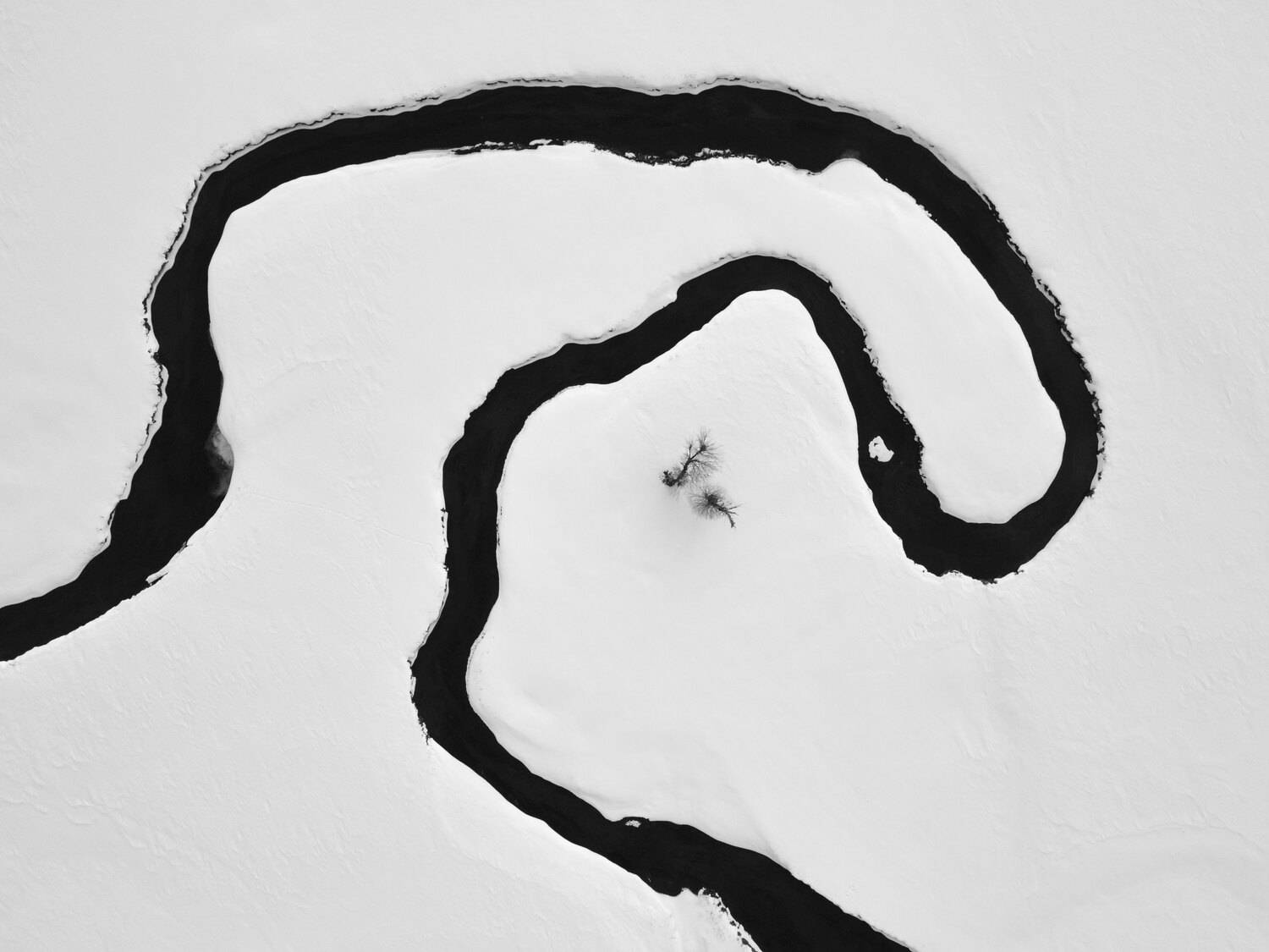 Фотография #12019086