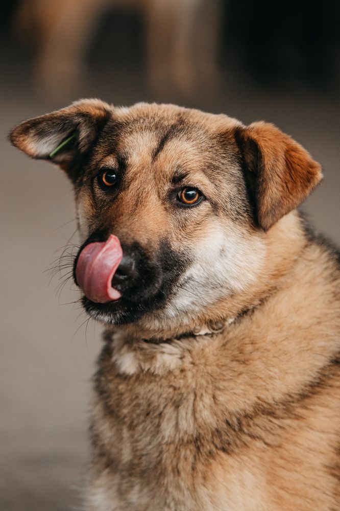 Photograph by Natasha Stugireva