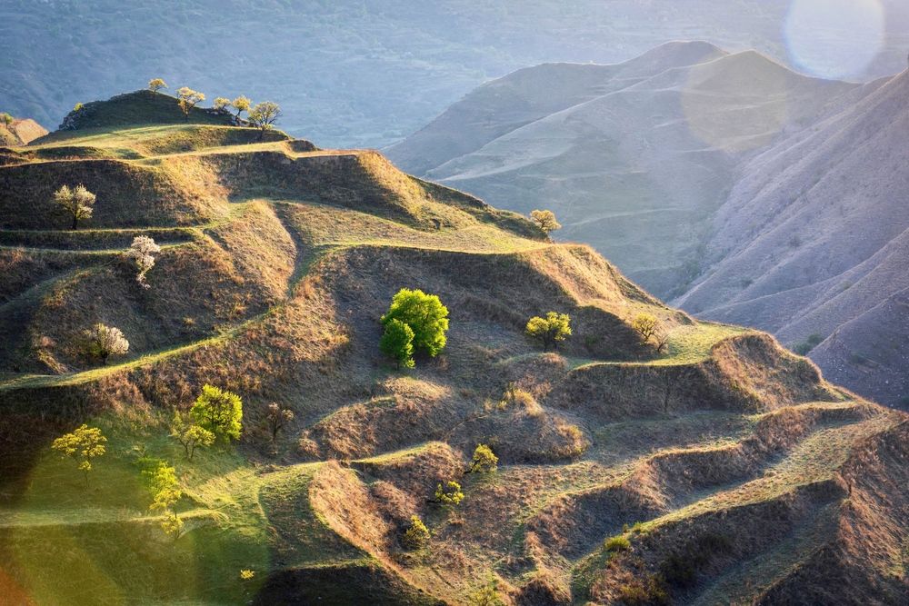 Фотография автора Дмитрий Дон
