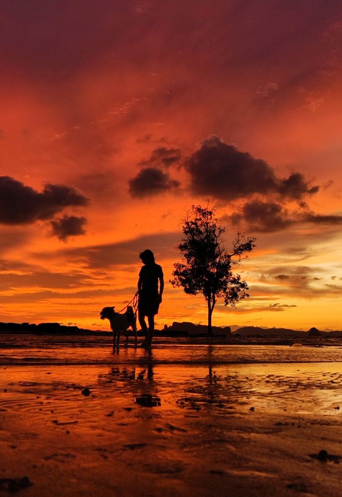 Фотография автора Светлана Зимина