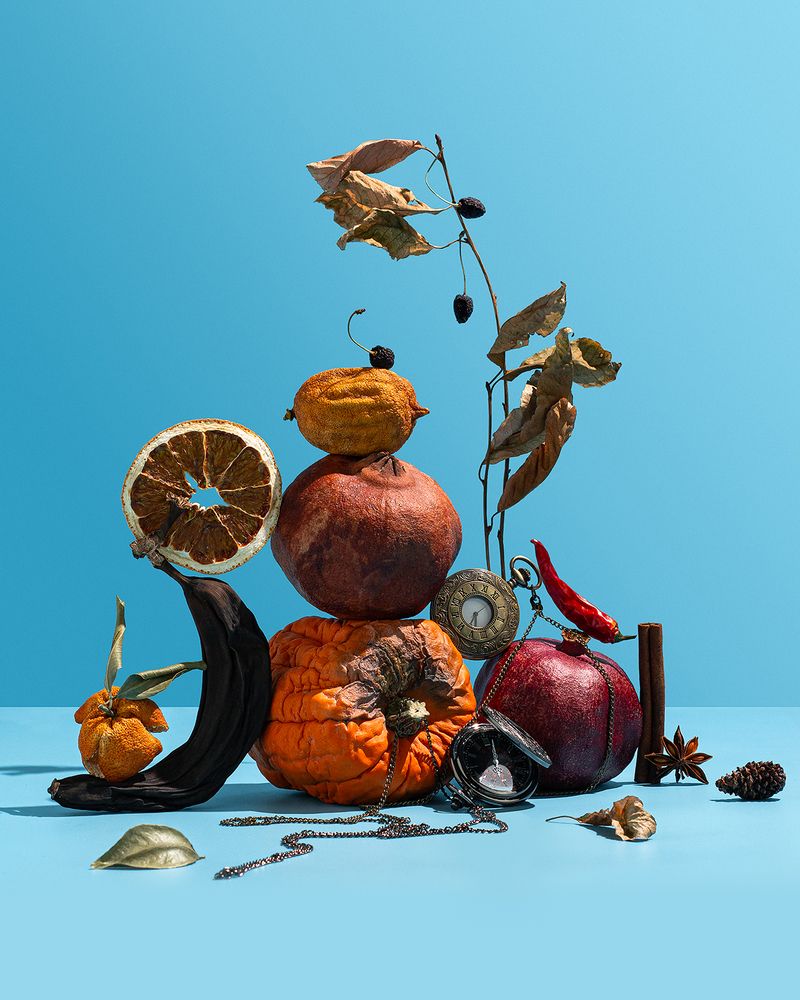 Seasons change as time goes by