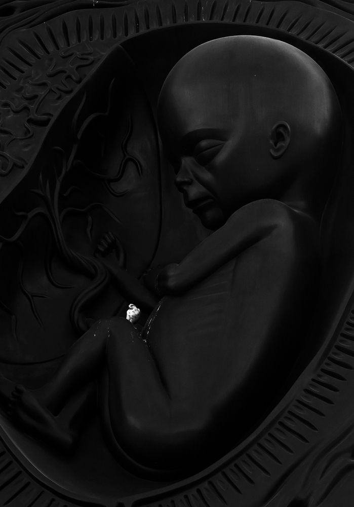 Photograph by Shaji Hussain