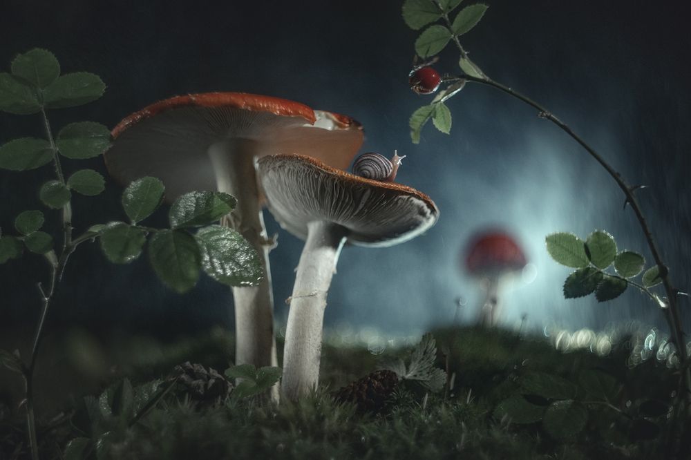 Photograph by Чорный Александр