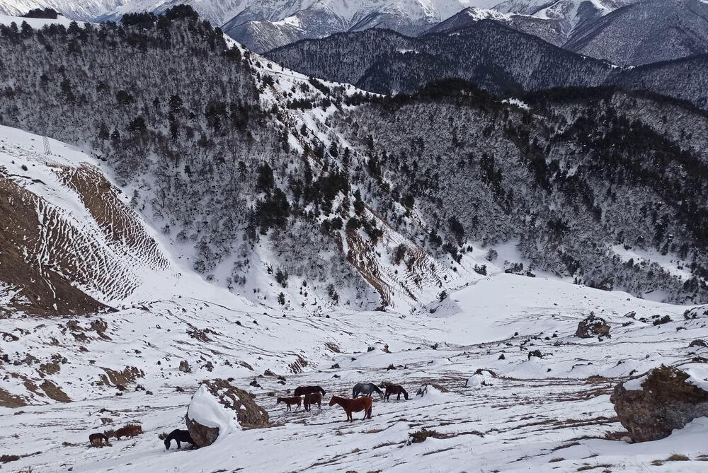 Photograph by Людмила Фурсова