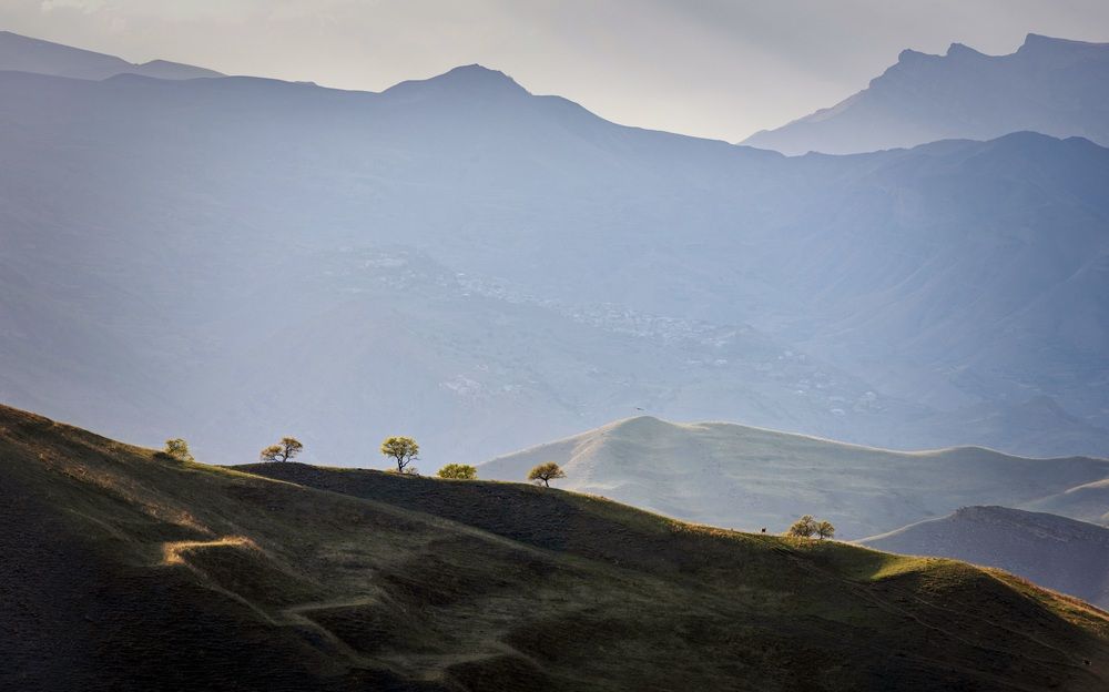 Фотография автора Дмитрий Дон