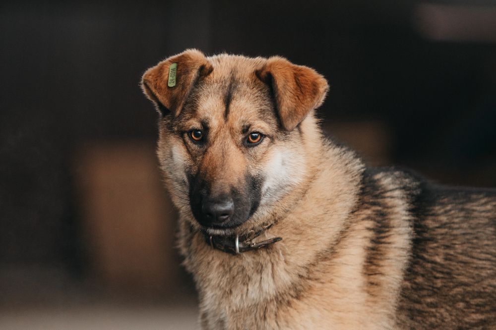 Photograph by Natasha Stugireva