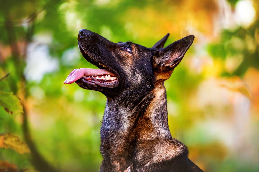 Photograph by Марина Соловьева