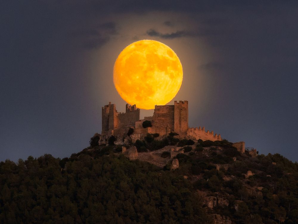 Photograph by Lluís Garcia Rovira