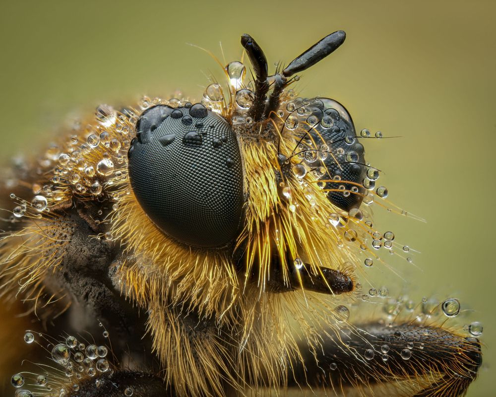 Photograph by Юрий Юрьевич Подгрушный