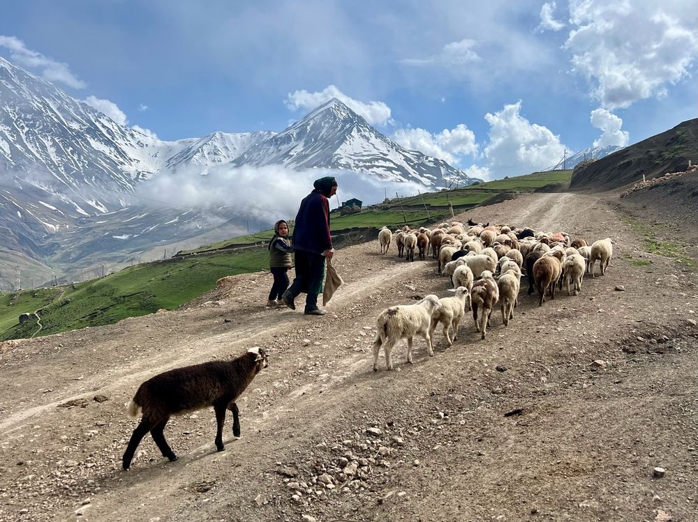 Фотография автора Дмитрий Дон