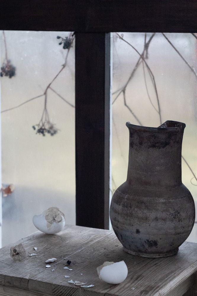 Фотография автора Могилевцева Дарья