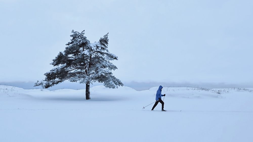 Фотография автора Ekaterina Sapezhinskaya