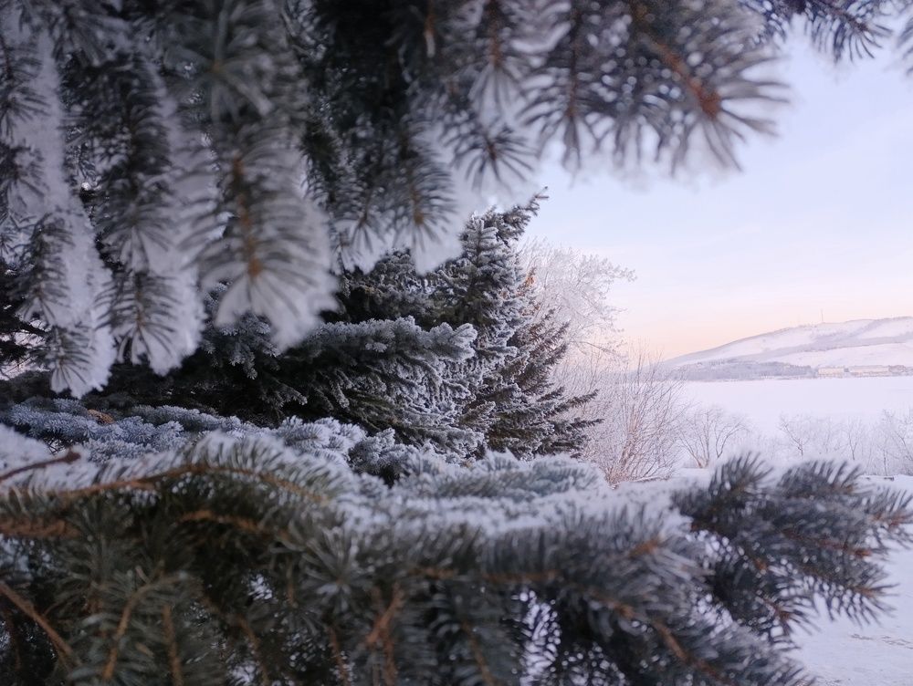 Photograph by Алена Марченко