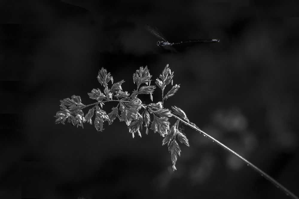 Фотография автора Андрей Малинкин