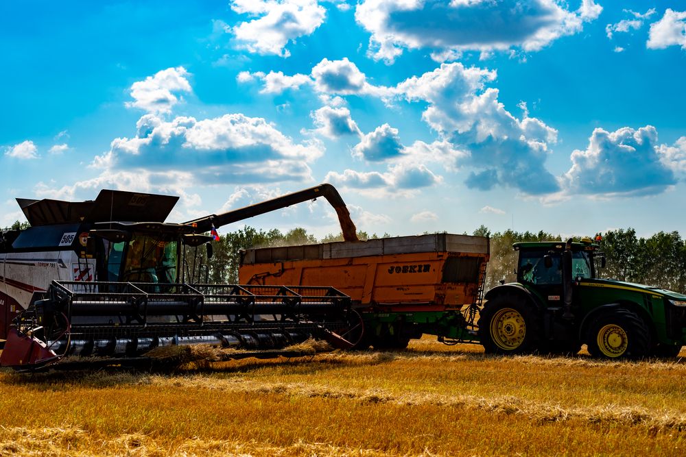 Photograph by Елена Сиушова