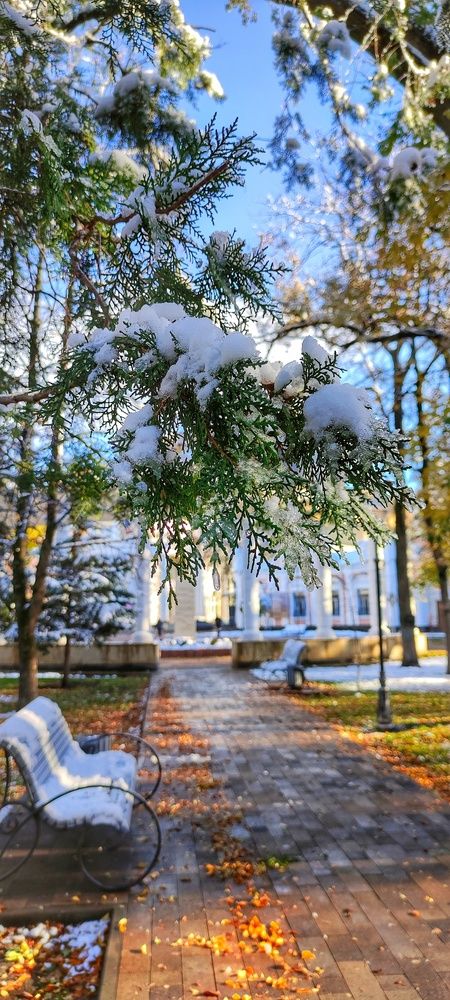 Photograph by Алла Холодова